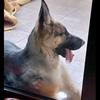 petros_L - @peterleventis866 - TikTok