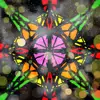 Peter Levit - @peterlevit - TikTok