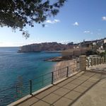 Peter Levy - @peter.levy.9275 - Instagram