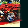 Peter Stewart Lewis - @king_lewis46 - TikTok