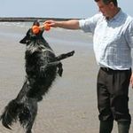 Peter Leydon - @peter.leydon - Instagram
