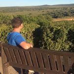 Pete Leyland - @pete_leyland - Instagram