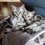 Peter Liese - @pit.liese - Instagram