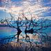 Peter Lik Gallery - Facebook