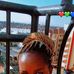 Lince Peter - Facebook