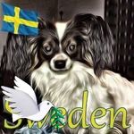 Peter Linde - @p_linde1 - Instagram