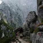 Peter Linde - @livedrei - Instagram