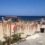 Peter Lindeman - @peter.lindeman.75 - Instagram