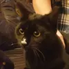peter lindemann - @peter.lindemann - TikTok