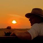 Peter Linden - @peterlinden68 - Instagram