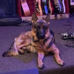 Peter Lindenmeyer - @peterlindenmeyer - Instagram
