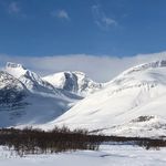 Peter lindmark - @lindmark2market - Instagram