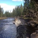 Peter Lindmark - @lindmark.peter - Instagram