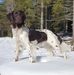 Peter Lindmark - Facebook
