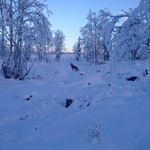 Peter Lindmark - @peter.lindmark65 - Instagram