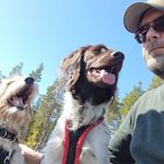 Peter Lindmark - @petershundochvildmark - Instagram