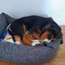 Peter Lindmark - Facebook