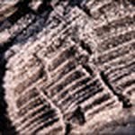 Peter Lindquist - @jp_lindquist - Instagram