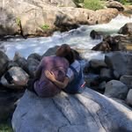 Peter Lindquist - @peterlindquist3 - Instagram