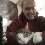Peter Linnane - @linnanepeter - Instagram