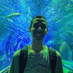 Peter Lion - @peter.lion - Instagram