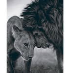 Peter Lion - @petersito07 - Instagram