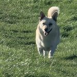 Peter Löhr - @p.loehr.1961 - Instagram