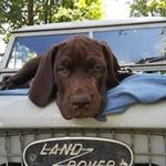 Peter Löhr - @kraftwagenschmiede - Instagram