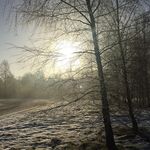 Peter Lohrmann - @peterlohrmann2509 - Instagram