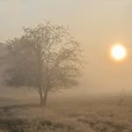 Peter Loke - @rockanjeinbeeld_ - Instagram