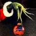 Pete Lomonaco - Facebook