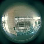 Pete Lonergan - @pete.lonergan - Instagram