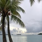 Peter Lonergan - @tetepareisland - Instagram