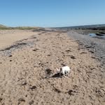 Peter Longden - @peter.longden.739 - Instagram