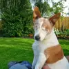 peterlongden905 - @peterlongden905 - TikTok