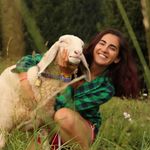 Caterina Peterlongo - @peterlongocaterina - Instagram