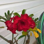 Peter Lowry - @peter.lowry.794 - Instagram