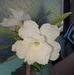 Peter Lowry - Facebook