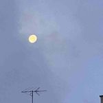 Peter Lucier - @lucier768 - Instagram
