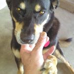 Peter L. Luckenbach - @peterluckenbach - Instagram