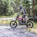 Peter Lucken - @peterlucken - Instagram