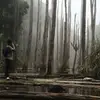 peterludan - @30264042177 - TikTok