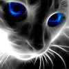 Peter_Lundgaard - @peter_lundgaard - TikTok