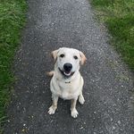 Pete Lundy - @peterlundy58 - Instagram