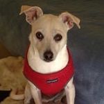 Peter Lunsford - @peterlunsford - Instagram