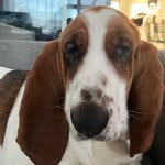 Peter Wendel Luzak - @wendelwendel - Instagram
