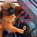 Peter Lyden - Facebook