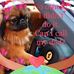 Peter Lyden Lyden - Facebook