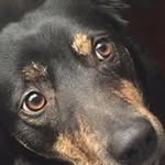 Peter Lyle - @monkeymagic7979 - Instagram
