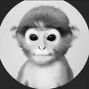 Peter Lyle - @english_lion - TikTok